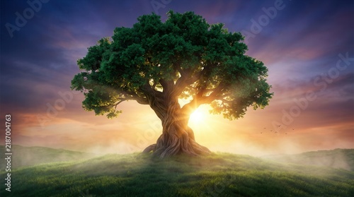 The mythical Yggdrasil tree symbolizing life in ancient Norse legends