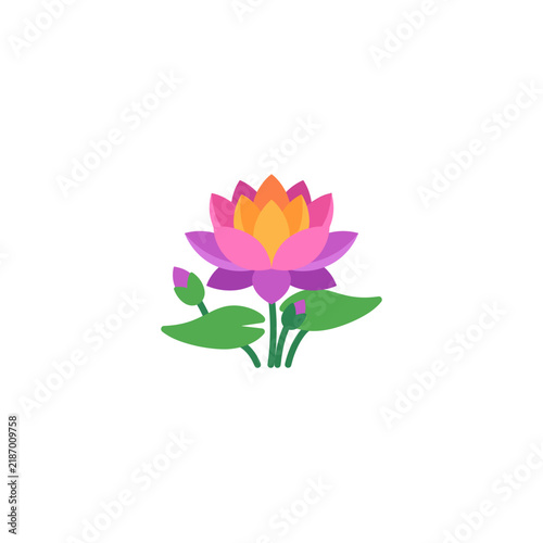 Colorful lotus flower vector icon - water lily graphic element