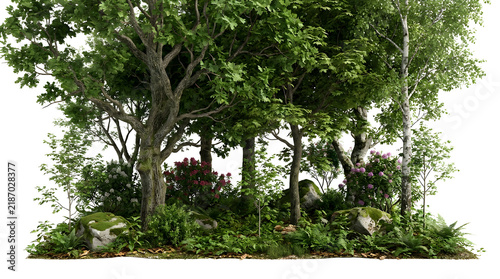 A lush, detailed forest scene with various trees, shrubs, and mossy rocks on a white background.