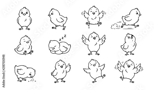 Cute Cartoon Baby Chick Black and White Line Art Vector Set
