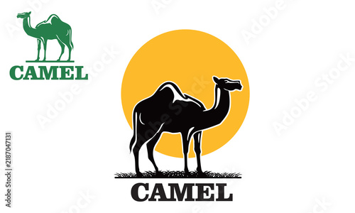 great camel standing logo, silhouette of strong animal walking at the desert vector illustration
