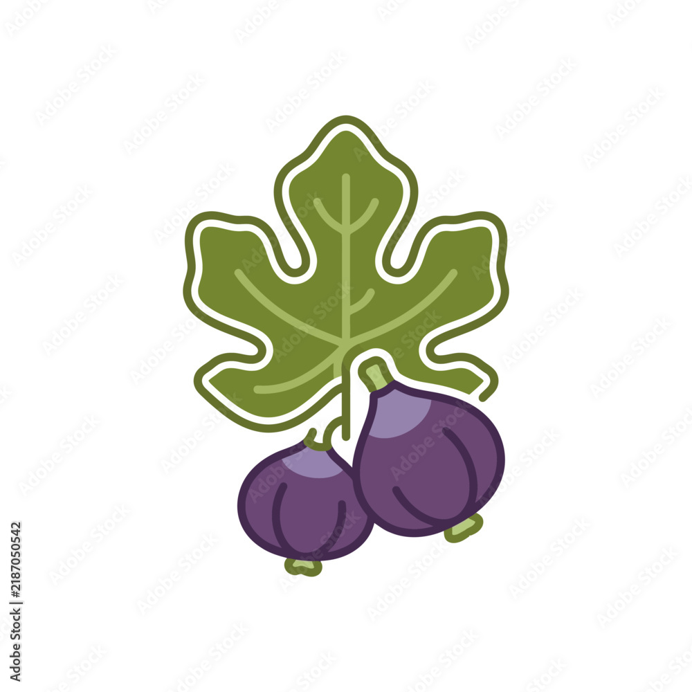 Fototapeta premium Fresh Figs with Green Leaf Illustration.