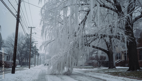 Heavy Ice on Tree Branches Posing Danger to Power Lines, Extreme Weather Series