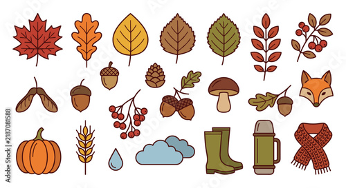 Autumn vector icon set with forest leaves, acorns, berries, pumpkin, mushroom, fox, rubber boots, thermos, and scarf in a flat line art style for seasonal design