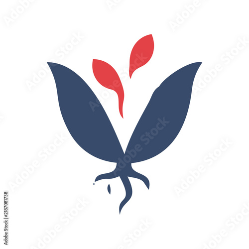 Growing Plant Sprout with Roots Vector Icon