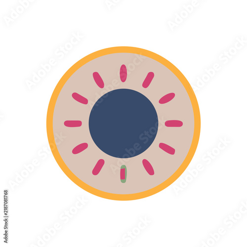 Stylized Sun or Kiwi Fruit Cross Section Icon