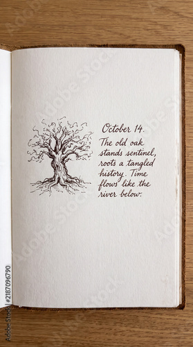 Handwritten journal page describing an old oak tree beside a small illustration