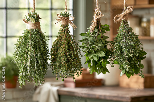 Rosemary thyme oregano and mint drying in farmhouse workroom