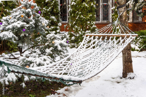 Snow-laden hammock stretchesacross frame between two trees. Hammock's netting is densely packed with layer of snow, creating beautiful contrast against its green base. Evergreen trees dust with snow.