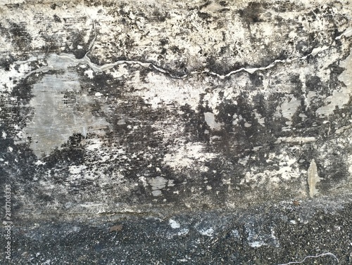  The texture of a cement wall with moss growing on parts of its surface.