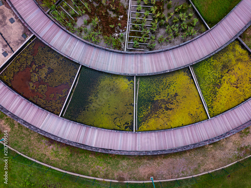 Fotografie Aerial view of circular wooden boardwalk surrounding colorful wetland ponds