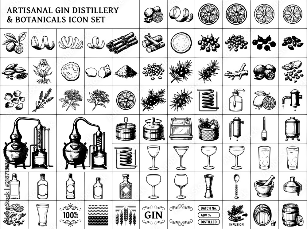 Fototapeta premium Artisanal gin distillery and botanicals icon set with detailed engraved illustrations