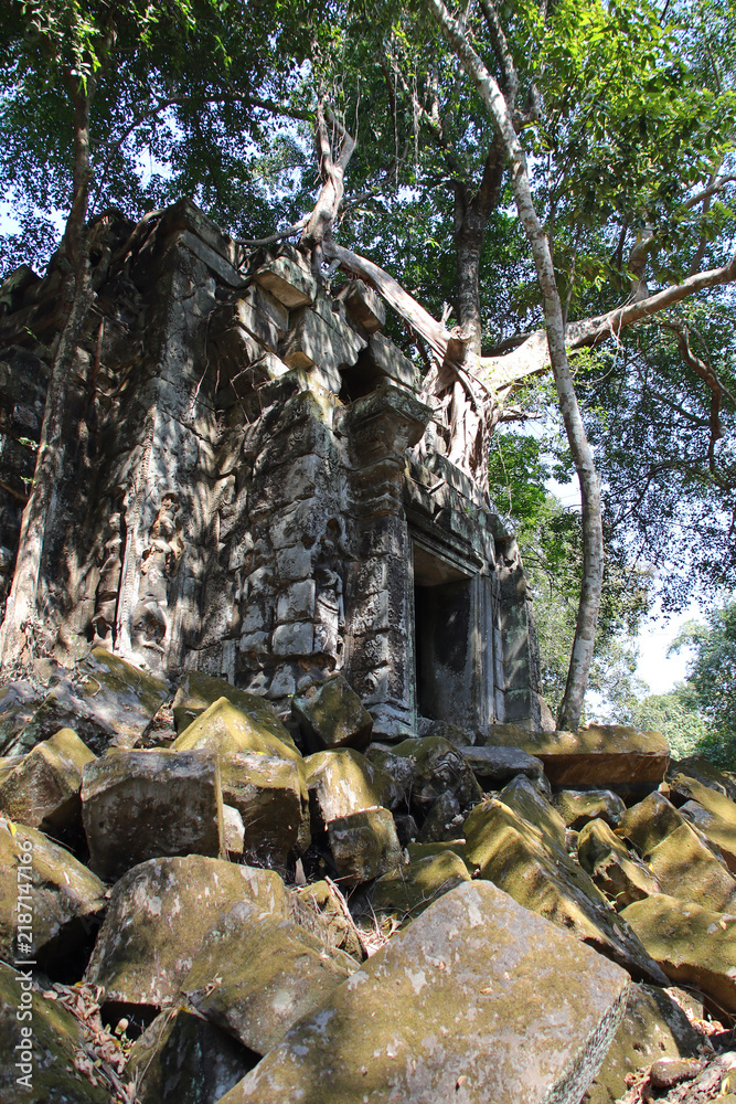 Obraz premium ruined buddhist and hindu khmer temple (beng mealea) in angkor in siem reap in cambodia 