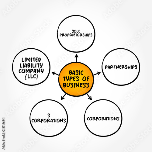 Basic Types of Business mind map with sole proprietorships, partnerships, corporations, S corporations and limited liability company LLC concepts, legal entity structure and company formation chart