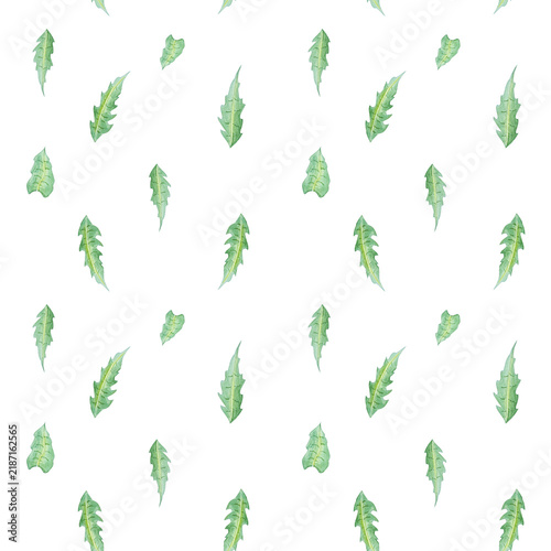 Watercolor chicory green leaves seamless pattern background. Hand drawn foliage illustration for organic tea packaging, natural cosmetics, herbal medicine and minimalist textile print design