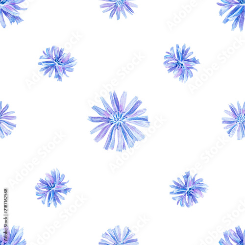 Watercolor chicory seamless pattern minimal background with blue flower heads. Hand drawn floral illustration for tea packaging design, organic cosmetics and minimalist textile print