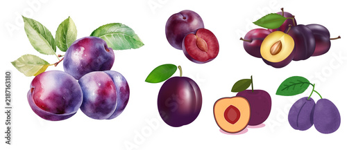 Plum without background