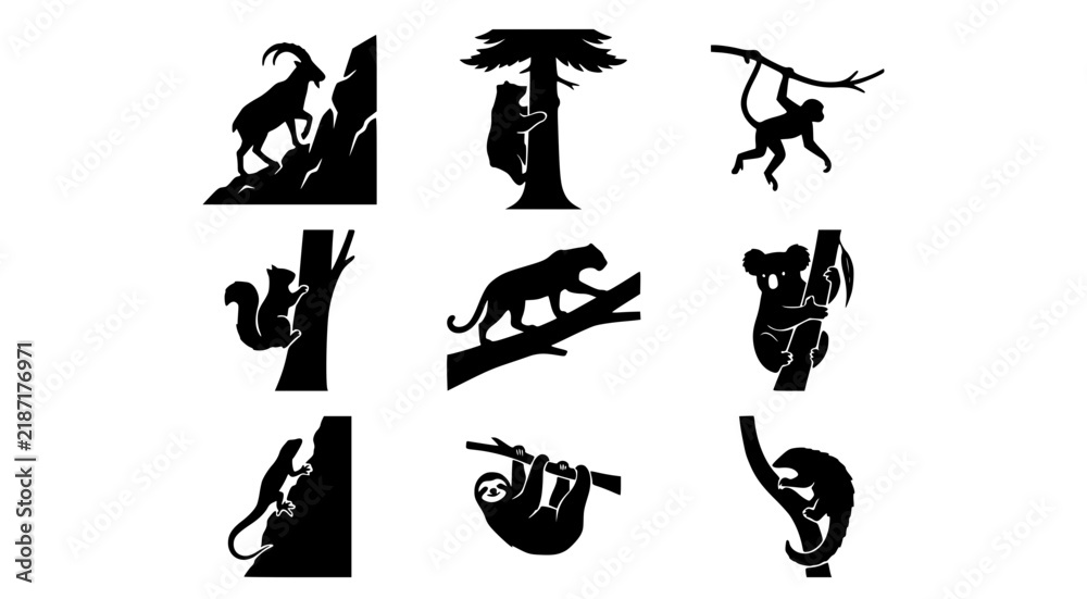 Obraz premium Set of climbing and tree dwelling animal silhouettes including monkey and koala and sloth and leopard and squirrel in black graphic style isolated on white background for jungle and wildlife design