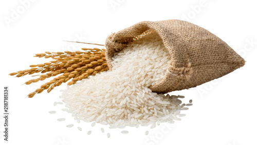 Canvastavla Burlap sack spilling white uncooked rice grains next to golden rice stalks, isol