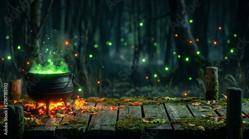 A bubbling black cauldron filled with magical green liquid sits over a fire on a wooden platform in an enchanted