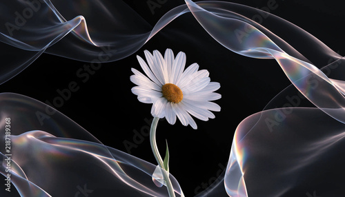 Naklejka flower on black background