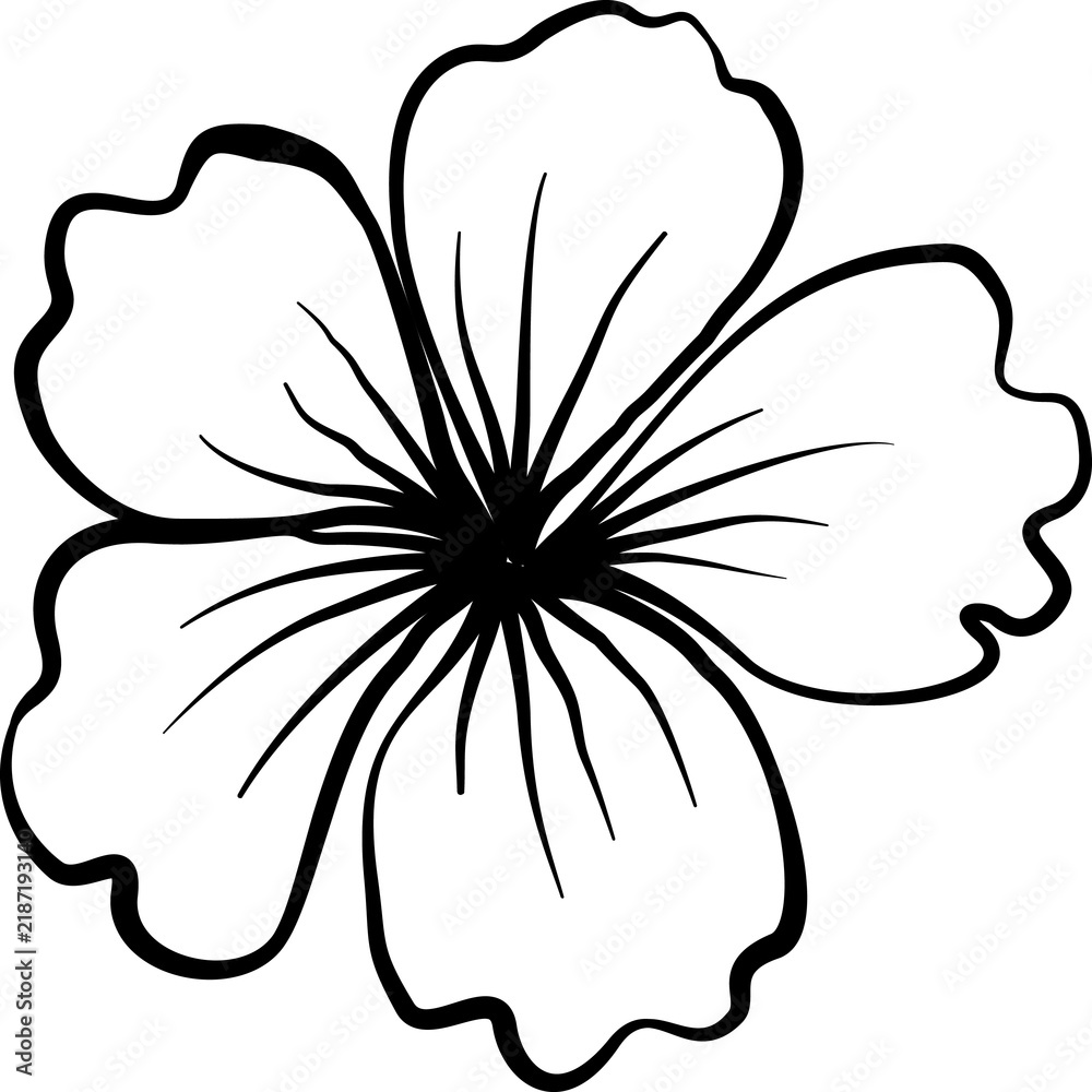 Obraz premium Elegant hibiscus blossom outline with five wavy petals, detailed stamens, bold black contours, botanical floral line art, minimal tropical bloom illustration, isolated on a transparent background.