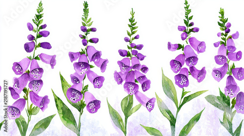 Vibrant purple foxglove flowers with green leaves create beautiful watercolor illustration, showcasing nature elegance and charm