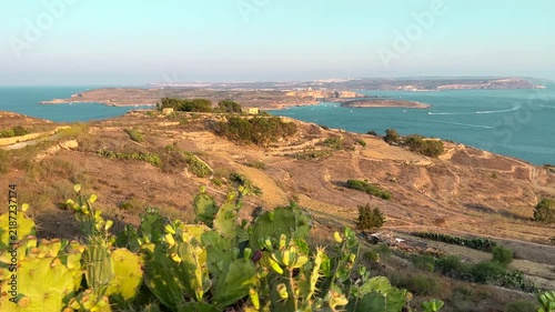 Panoramic sunset view from Gozo, Malta, overlooking the Mediterranean Sea towards Comino and the island of Malta, with prickly pear cactus in the foreground and a scenic coastal landscape