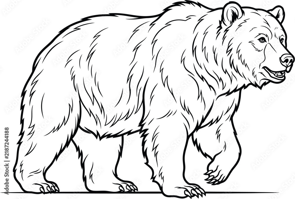 Obraz premium polar bear vector illustration