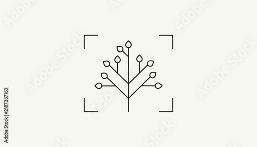 Minimalist logo design featuring a stylized plant sprout inside a focus frame representing photography and nature.