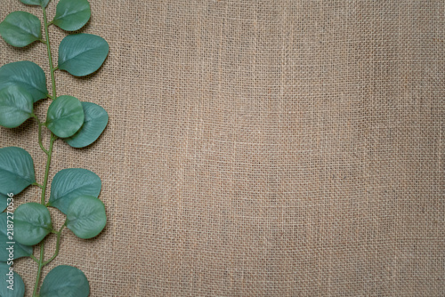 Eucalyptus branch on natural burlap fabric texture background with extensive copy space for organic and rustic design layouts