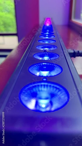 Close-up of a linear LED music light fixture. The multicolored light bulbs shifts and changes color. Vertical party background with selective focus