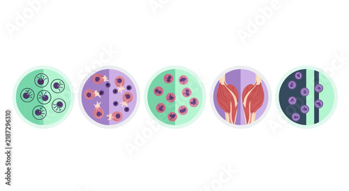 Medical Biology Icons Set with Bacteria, Cells, and Muscle Tissue Illustrations