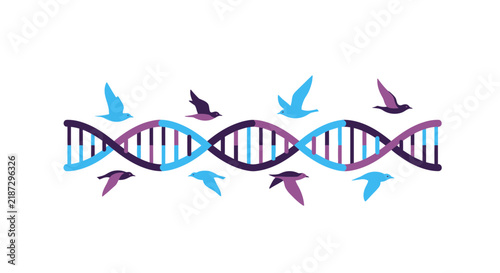 DNA Double Helix with Flying Birds Illustration