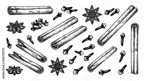 Obraz na plátně Hand drawn illustration set of cinnamon sticks star anise and cloves spice colle