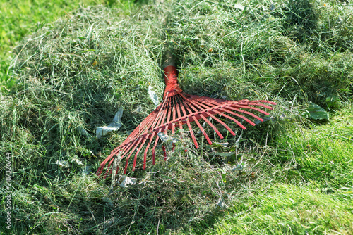 Quadro su tela Red lawn rake lying on green hay on a sunny day, close-up