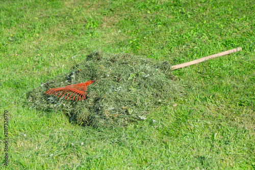 Foto Metal fan rake with a wooden handle lying on a pile of dry cut grass on a sunny