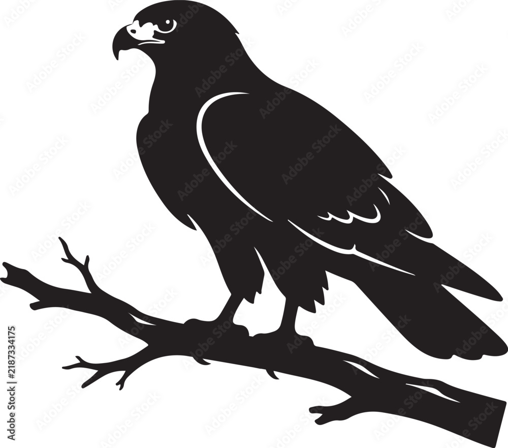Fototapeta premium Hawk perched on a tree branch in black silhouette