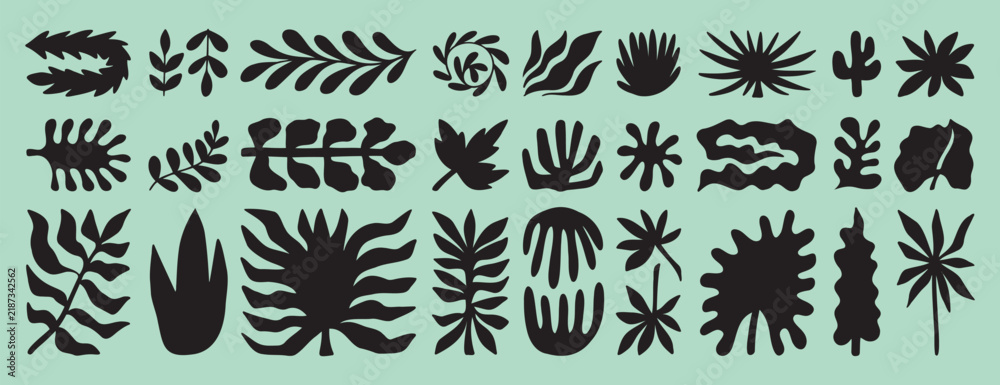 Obraz premium tropic shapes organic plant leaves form set. Exotic plants different modern nature floral shapes. Summer botanical boho silhouette. 
