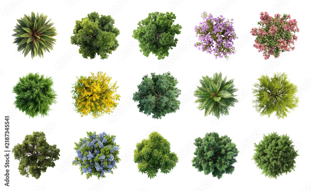 Obraz premium PNG Diverse top view foliage collection on transparent background