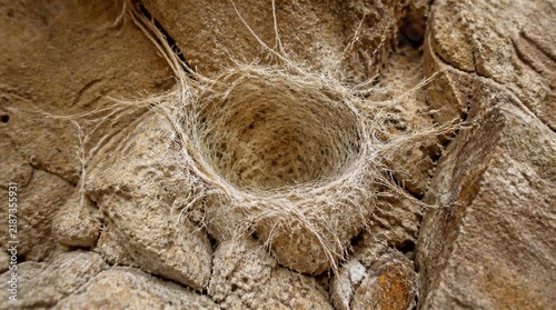 Intricate spider web spun neatly between rough textured brown stone rocks