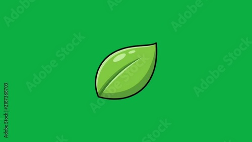 Animated Green Leaf Cartoon on Green Screen Background
