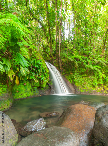 Cascade aux écrevisses à Basse-Terre en Guadeloupe, Antilles Françaises.
