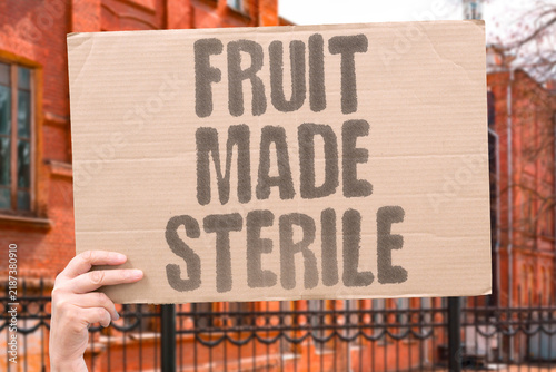 Obraz na płótnie "Fruit made sterile" Commercial seedless produce breeding selects for inability to reproduce, trapping consumers in buyback loops
