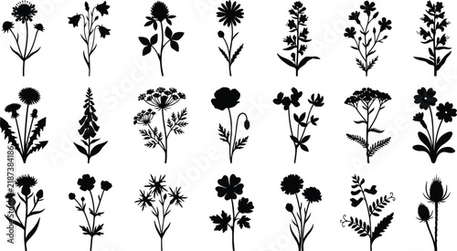 Wildflower Silhouettes Black Floral Set