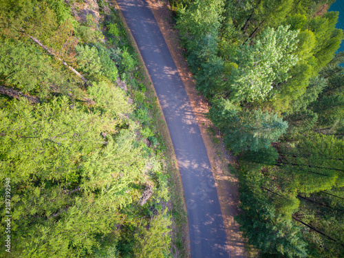 Aerial view of winding road through dense green forest