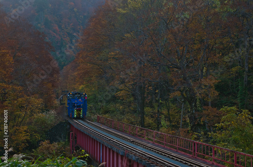 Obraz na płótnie 霧と紅葉に包まれた赤い鉄橋の保守車両