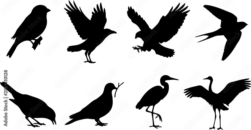 Obraz premium Set of bird silhouettes in various poses vector illustration