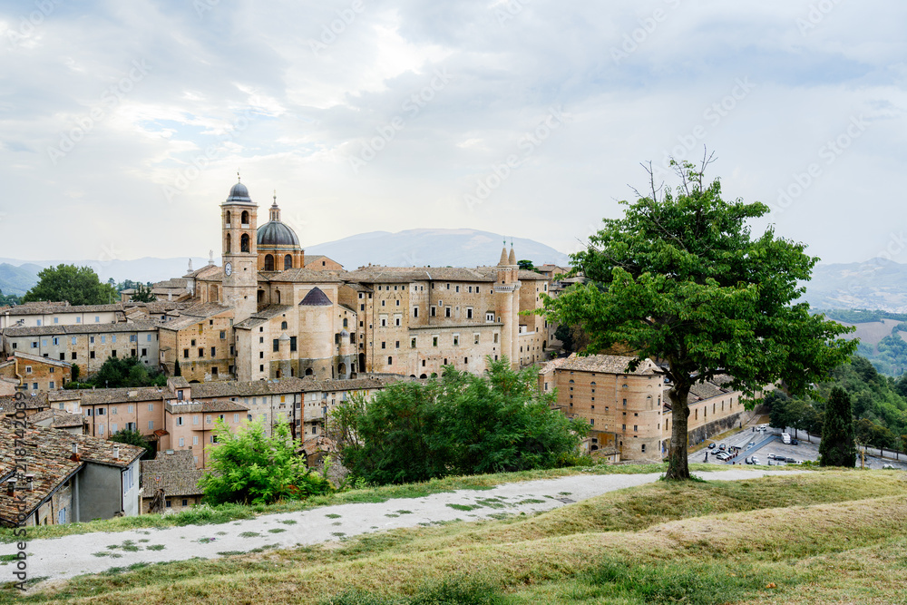 Obraz premium View of Palazzo Ducale and the cathedral framed by a tree in the historic center of Urbino, Marche, Italy