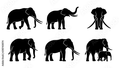 Canvas Print Elephant Silhouettes Collection: African Wildlife Vector Icons, Safari Animals,